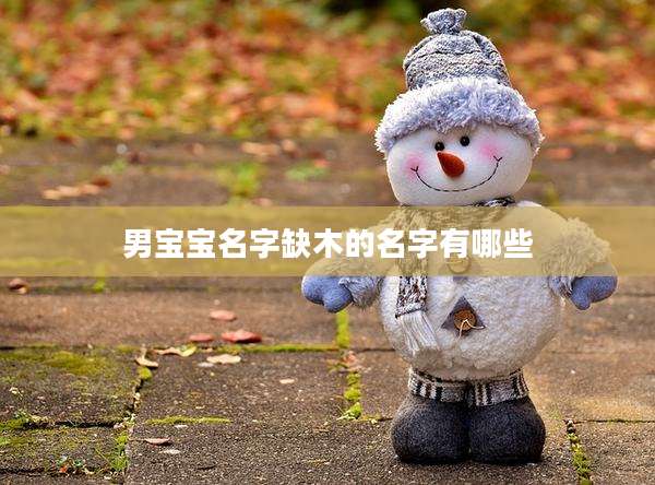 男宝宝名字缺木的名字有哪些