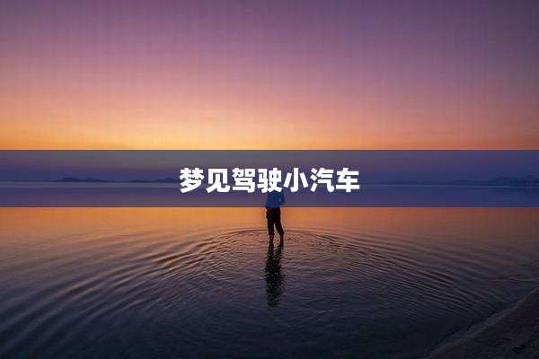 梦见驾驶小汽车