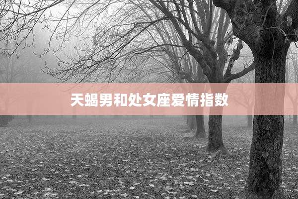 天蝎男和处女座爱情指数