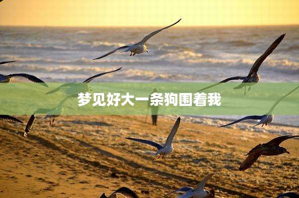 梦见好大一条狗围着我