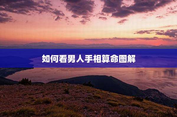如何看男人手相算命图解