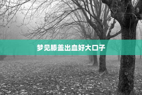 梦见膝盖出血好大口子
