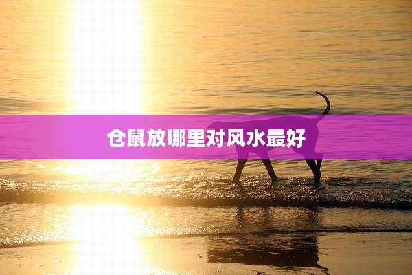 仓鼠放哪里对风水最好