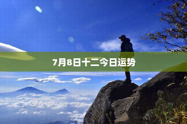 7月8日十二今日运势