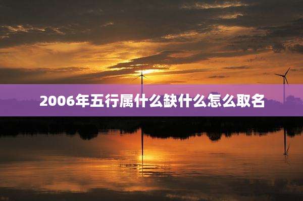 2006年五行属什么缺什么怎么取名