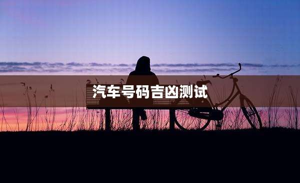 汽车号码吉凶测试