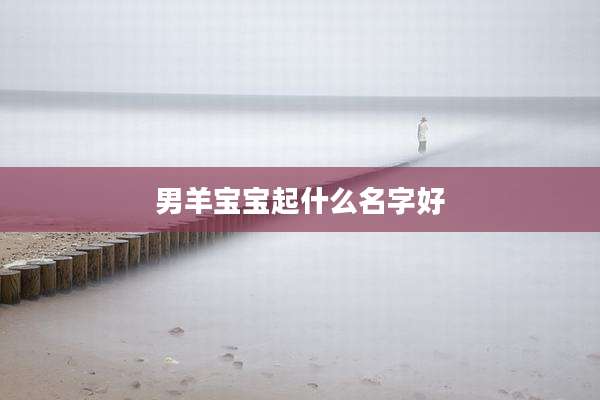 男羊宝宝起什么名字好