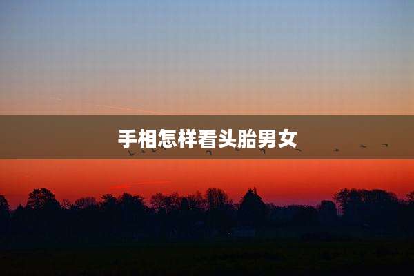 手相怎样看头胎男女