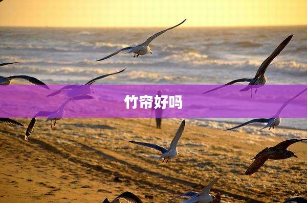 竹帘好吗