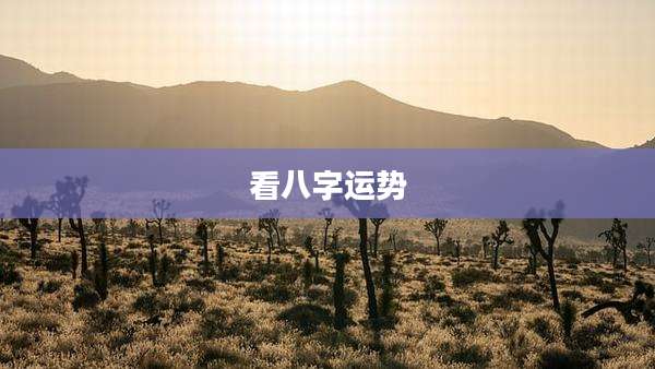 看八字运势