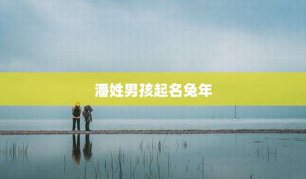 潘姓男孩起名兔年