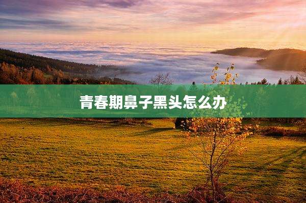 青春期鼻子黑头怎么办