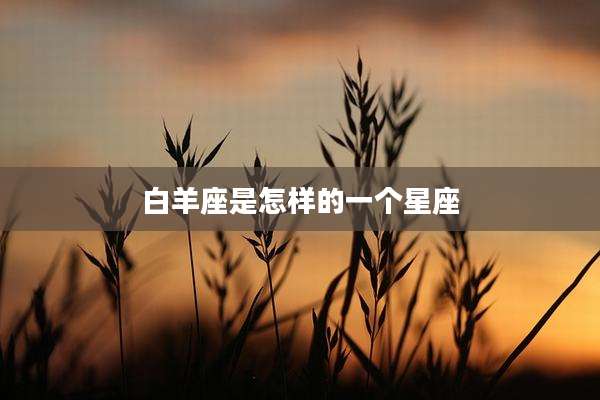 白羊座是怎样的一个星座