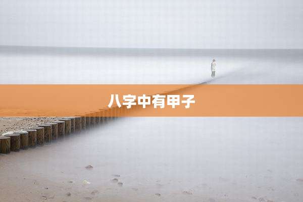 八字中有甲子