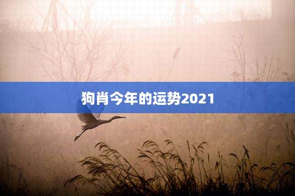 狗肖今年的运势2021