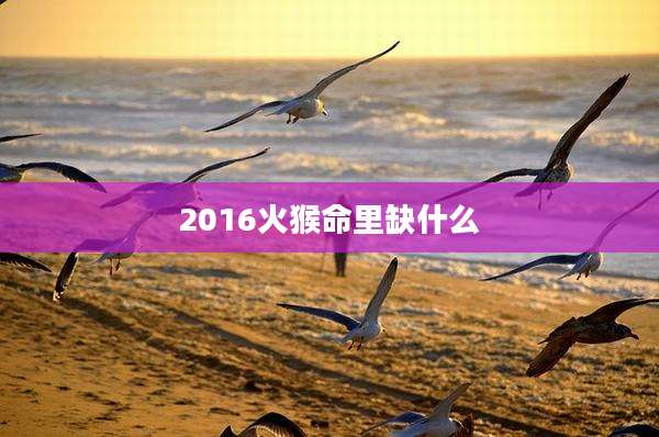 2016火猴命里缺什么