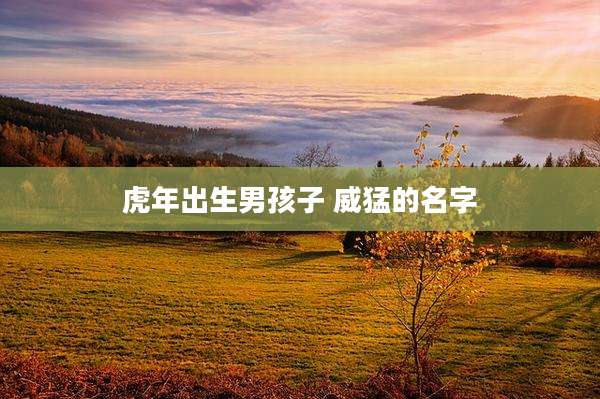 虎年出生男孩子 威猛的名字