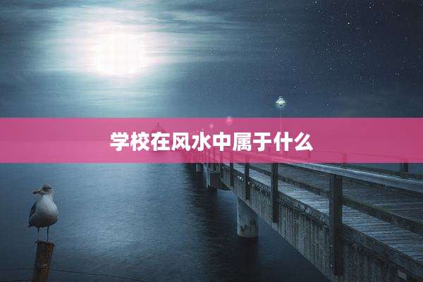 学校在风水中属于什么