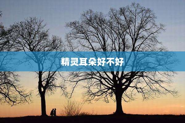 精灵耳朵好不好