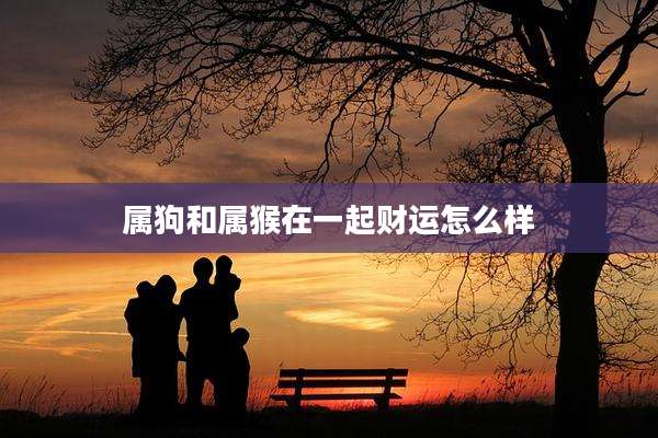 属狗和属猴在一起财运怎么样