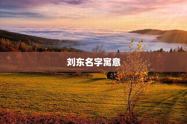 刘东名字寓意