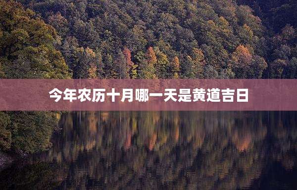 今年农历十月哪一天是黄道吉日