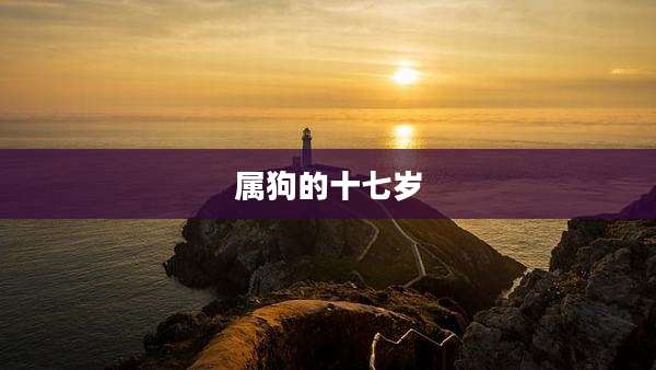 属狗的十七岁