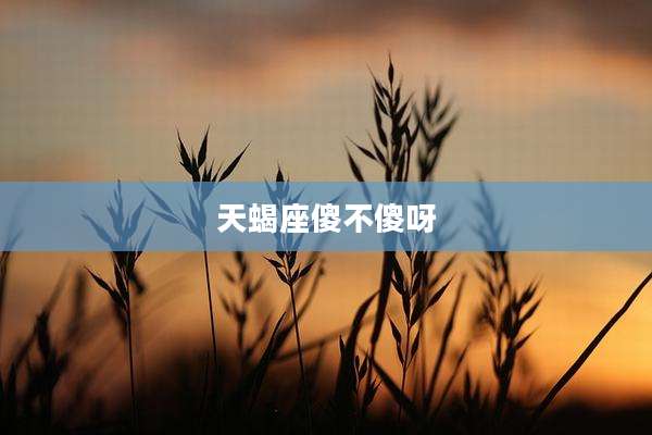 天蝎座傻不傻呀