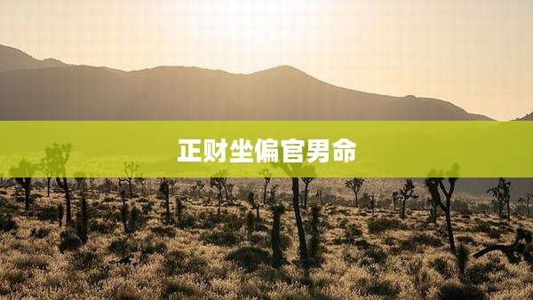 正财坐偏官男命