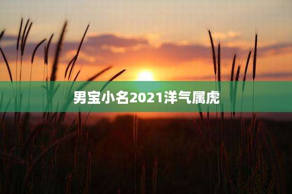 男宝小名2021洋气属虎