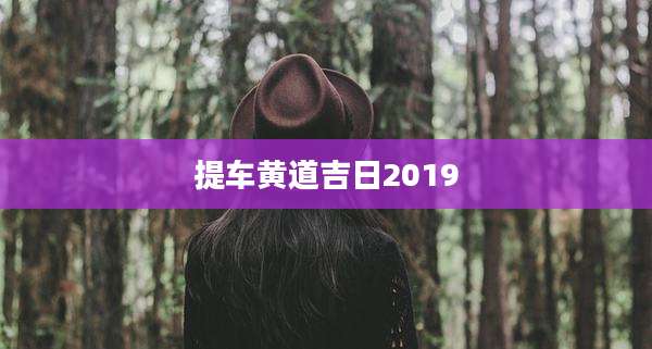 提车黄道吉日2019