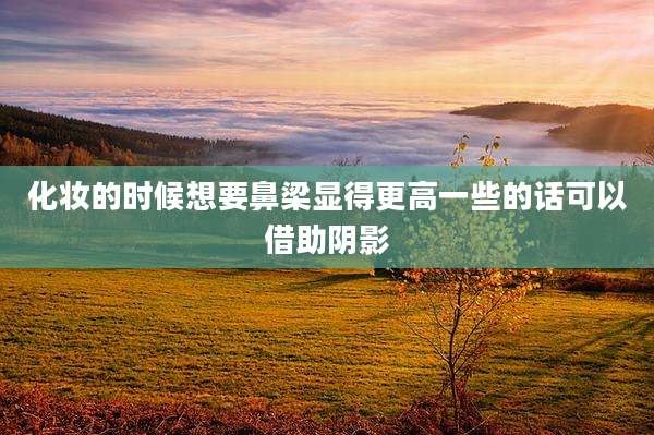 化妆的时候想要鼻梁显得更高一些的话可以借助阴影