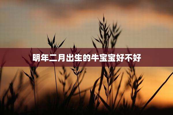 明年二月出生的牛宝宝好不好