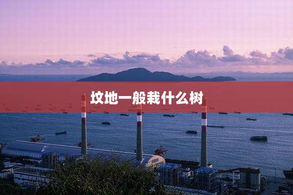 坟地一般栽什么树