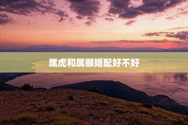 属虎和属猴婚配好不好