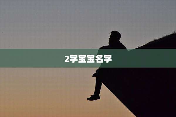 2字宝宝名字