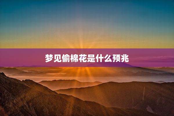 梦见偷棉花是什么预兆