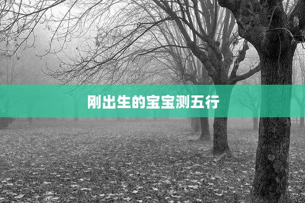 刚出生的宝宝测五行