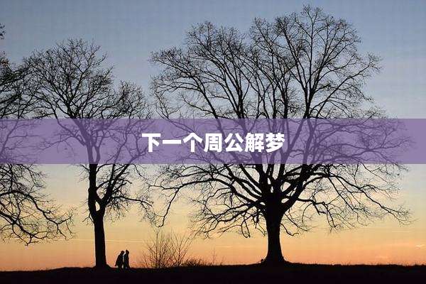 下一个周公解梦