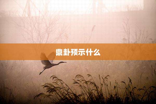 鼎卦预示什么