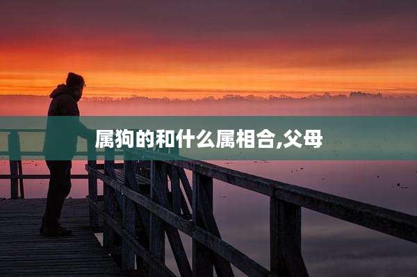 属狗的和什么属相合,父母