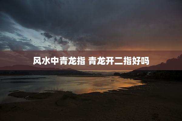 风水中青龙指 青龙开二指好吗
