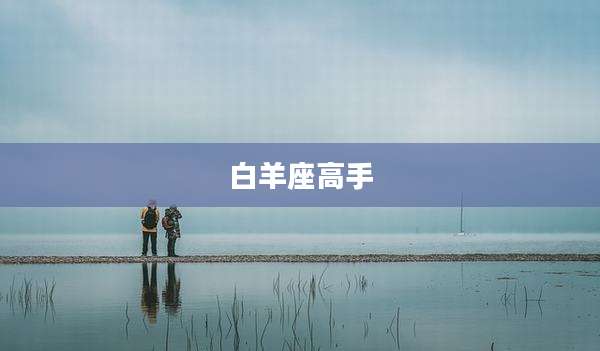 白羊座高手