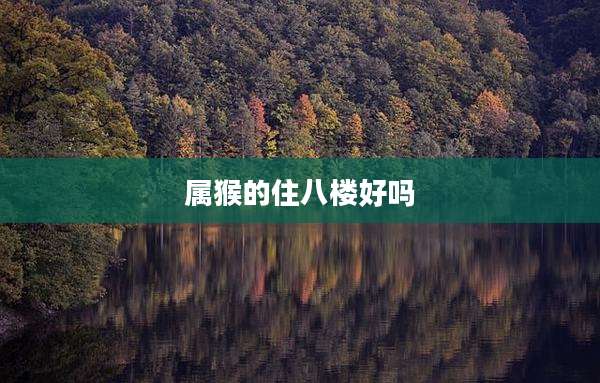 属猴的住八楼好吗