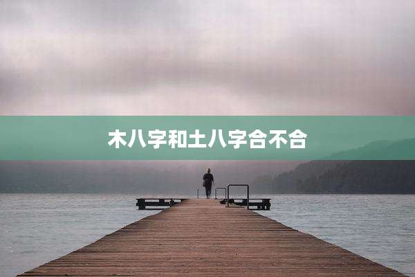 木八字和土八字合不合