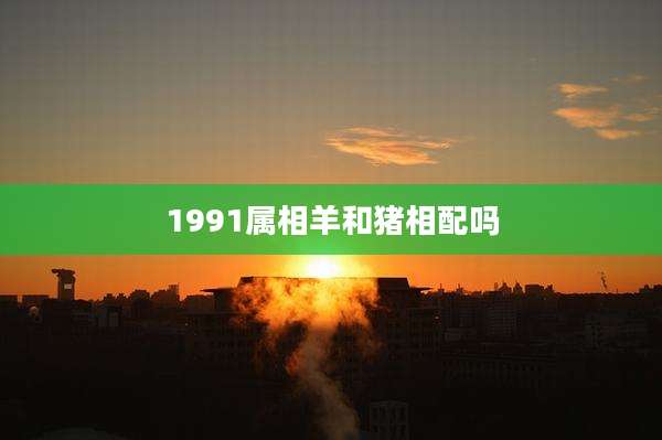 1991属相羊和猪相配吗