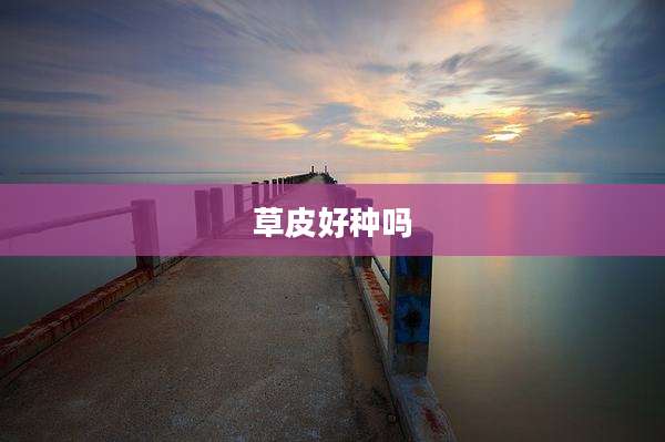 草皮好种吗