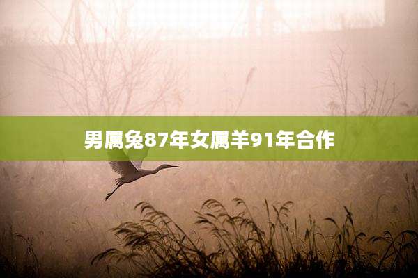 男属兔87年女属羊91年合作