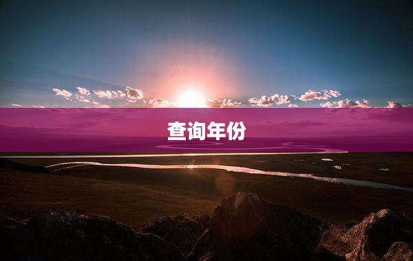 查询年份