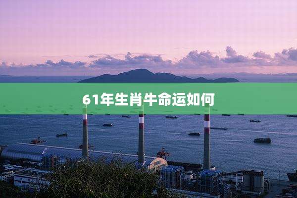 61年生肖牛命运如何